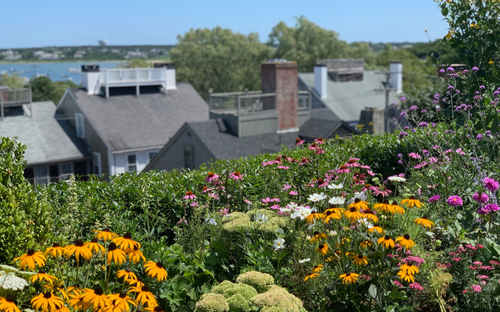 nantucket landscaping portfolio